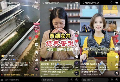 神探牛蛙爆料视频播放大全,爆款视频播放大全大揭秘