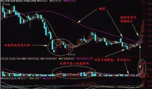 股市爆料最新消息,最新爆料揭示神秘投资动向