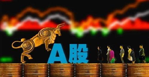 股市爆料最新消息,最新爆料揭示神秘投资动向