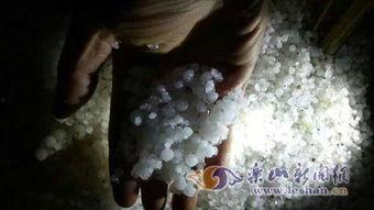 冰雹新闻爆料,多地农作物受损，紧急救援行动展开