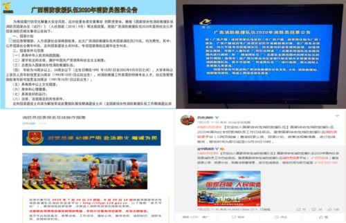 广西百色新闻爆料平台,聚焦民生热点，揭示社会现象