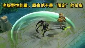 神龙盲僧爆料视频,游戏内幕大公开