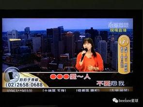 台湾电视在线观看,尽享宝岛视听盛宴