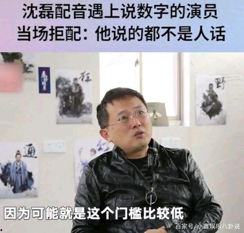 娱乐圈爆料的配音,娱乐圈配音大揭秘