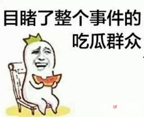 搞笑吃瓜队长小说免费阅读,笑料横生的奇幻冒险之旅