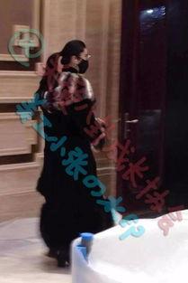 八卦范冰冰最新爆料图片,揭秘娱乐圈风云变幻