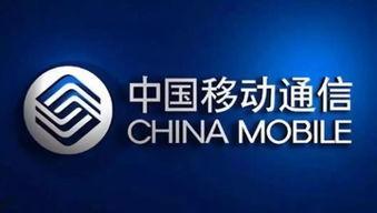 中国都市爆料新闻视频下载,热门视频下载背后的真相