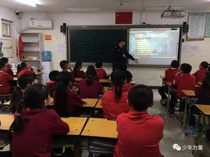 石家庄小学爆料事件最新,揭开校园安全与管理的隐秘面纱