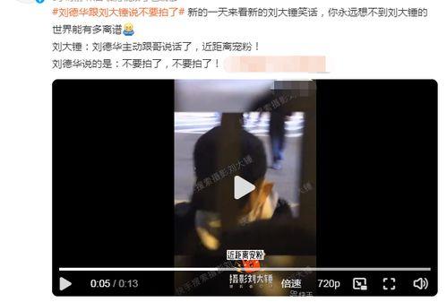 狗仔十万粉丝爆料视频,揭秘娱乐圈幕后真相
