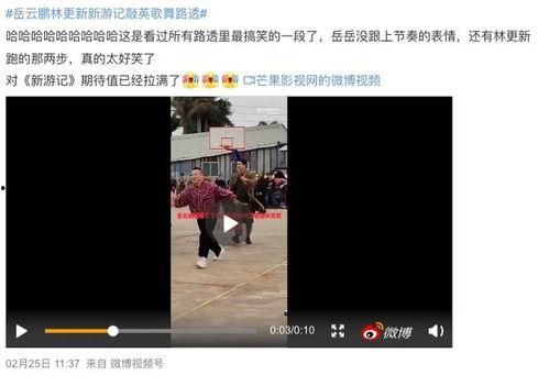 新游记内部爆料视频,内部爆料视频深度解析