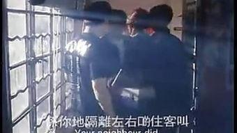 屋在线观看国语版,穿越时空的温馨之旅