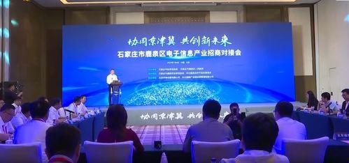 鹿泉最新爆料新闻视频,揭秘视频背后的惊人真相！