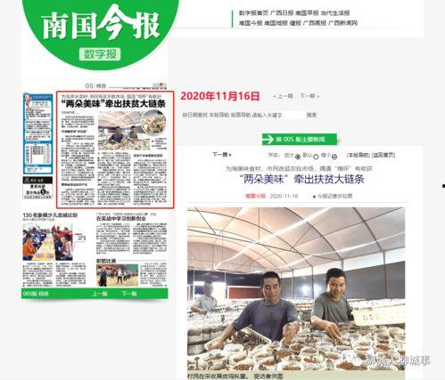 广西卫视旅游爆料新闻报道,探寻广西独特旅游魅力，带你领略壮美风光