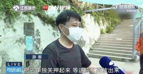 吃瓜网红帅哥是谁,揭秘吃瓜网红帅哥的神秘魅力