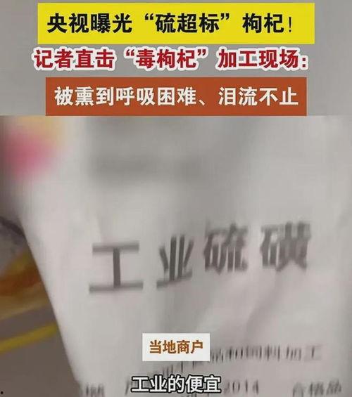 加工食品爆料怎么做视频,爆料视频制作攻略