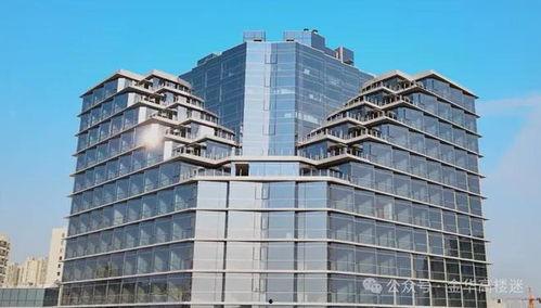 金华爆料今日最新消息,揭秘今日热点事件背后的真相