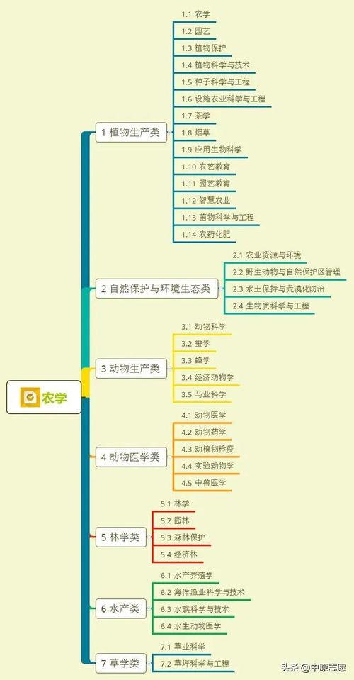 瓶子爆料画师视频大全集,画师视频大全集精彩瞬间回顾
