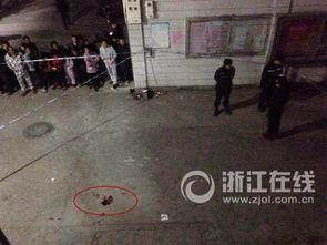 浙江温州爆料事件最新情况,真相逐步浮出水面