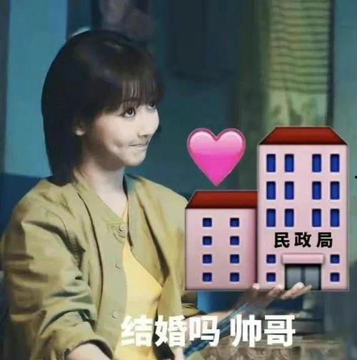 娱乐圈爆料白鲨是谁呀,揭秘“白鲨”真实身份之谜