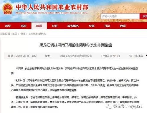 河南的爆料新闻最新消息,揭秘某重大事件背后真相
