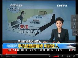 龙岗爆料新闻事件真相揭秘,真相大白，还原事件全貌