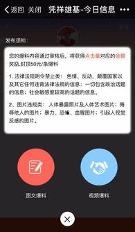 点击爆料视频,点击爆料，揭开网络迷雾