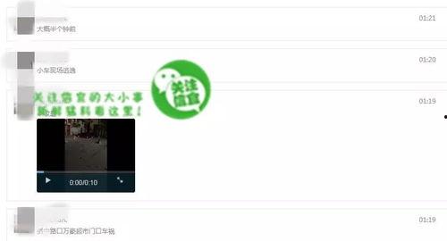 点击爆料视频,点击爆料，揭开网络迷雾
