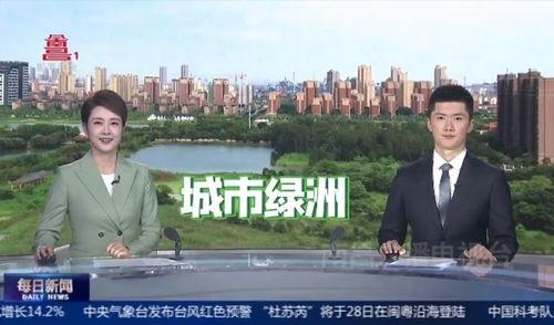 八公山新闻爆料视频播放,揭秘视频播放背后的热点事件