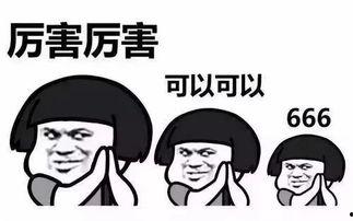 最新动态爆料网站下载,网站下载背后的秘密与趋势
