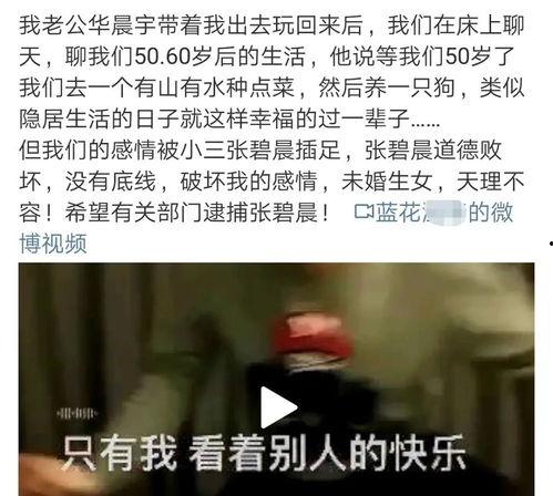 吃瓜娱乐营销号是什么,揭秘网络娱乐背后的秘密