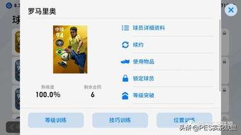 平安最新大爆料下载安装,下载安装背后的秘密与惊喜