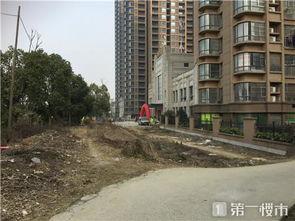 重庆烂尾楼爆料事件视频,揭开城市建筑乱象背后的真相