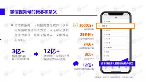 中兴最新爆料新闻视频下载,揭秘视频内容与关键信息汇总