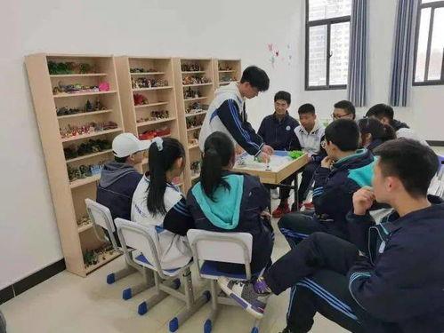 陕西中学爆料事件视频,视频揭露惊人真相