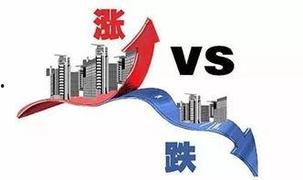 瓦瓦最新爆料,揭秘娱乐圈最新动态