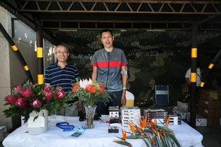 南非大使馆爆料事件视频,事件视频曝光背后的真相与争议