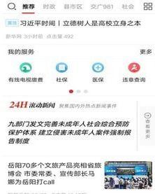 岳阳最新爆料新闻直播,揭秘重大事件背后真相
