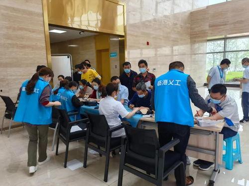 新礼盒时装爆料怎么做视频,视频制作攻略与创意亮点解析