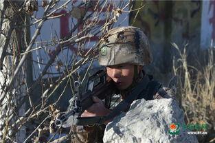 特战一营全集在线观看,热血激战，铁血铸就传奇