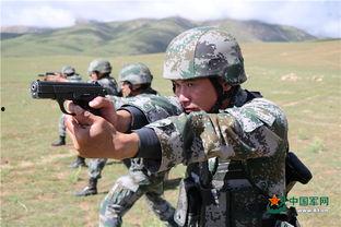 特战一营全集在线观看,热血激战，铁血铸就传奇