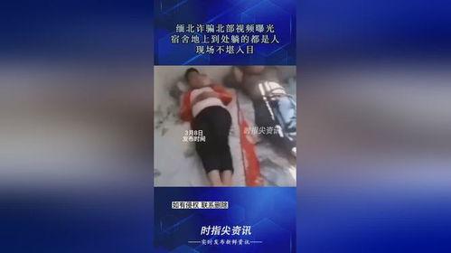 北部爆料相关视频,揭秘视频背后的惊人真相