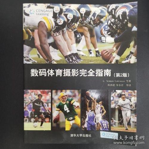 古董商爆料视频大全最新,视频大全中的珍稀古董故事