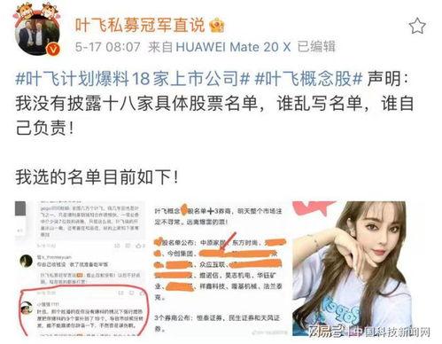 叶飞爆料公司名单最新,揭秘涉事公司名单背后的行业乱象