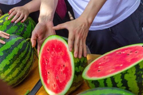 免费在线吃瓜,揭秘娱乐圈幕后故事