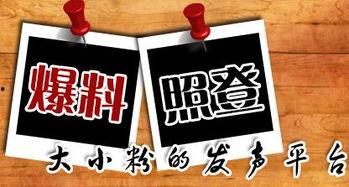 新闻爆料伸冤,正义之光照亮黑暗角落