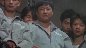 火烧岛在线观看,燃烧的岛屿，燃烧的青春