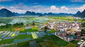 桂林平乐镇爆料新闻最新,真相揭秘，居民生活受影响