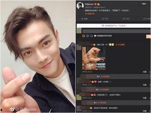 圈内爆料许凯完整版,圈内真相大揭秘