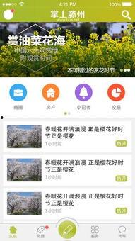 滕州爆料新闻,聚焦民生热点，揭示社会现象