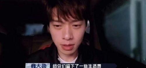 国外明星狗仔爆料视频大全,揭秘明星私生活瞬间